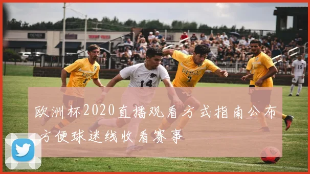 欧洲杯2020直播观看方式指南公布 方便球迷线收看赛事