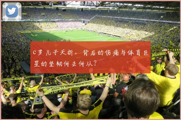 c罗儿子夭折，背后的伤痛与体育巨星的坚韧何去何从？