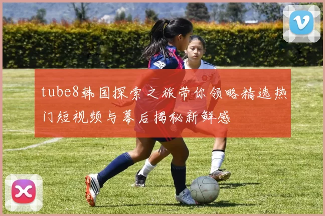 tube8韩国探索之旅带你领略精选热门短视频与幕后揭秘新鲜感