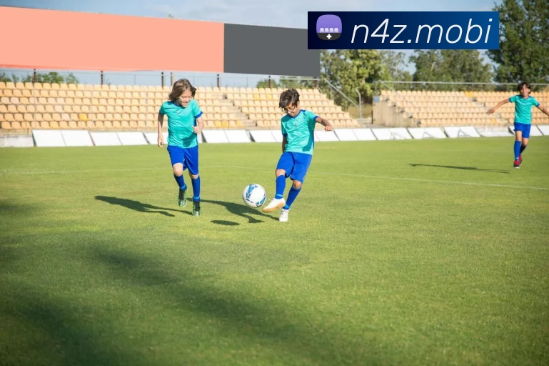 多媒体互动体验